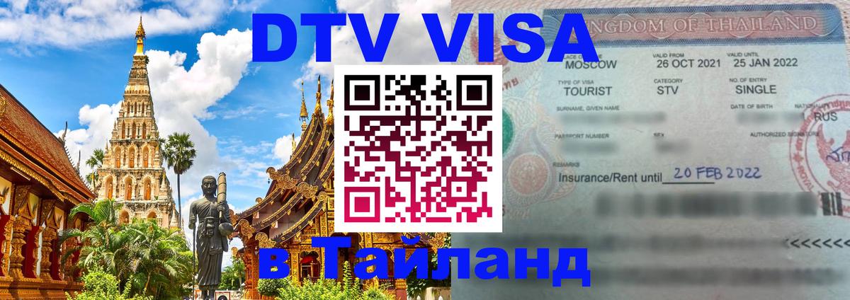 Сколько стоит DTV виза — актуальные цены, оформление даже без документов - 06.01.2026 